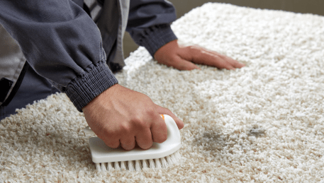 Professional Rug Cleaning Seaholme